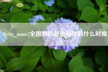 枝江全国消防日是每年的什么时候