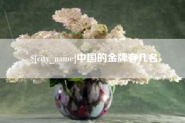 枝江中国的金牌有几名