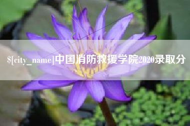 枝江中国消防救援学院2020录取分
