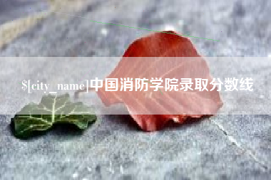 枝江中国消防学院录取分数线
