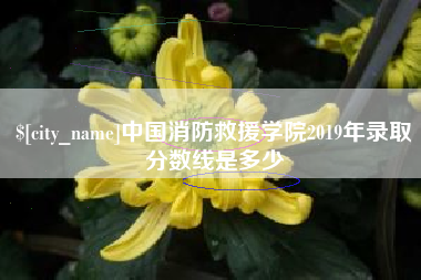 枝江中国消防救援学院2019年录取分数线是多少