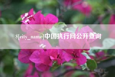 枝江中国执行网公开查询