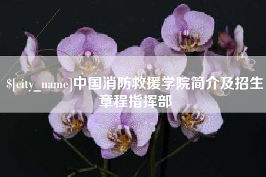 枝江中国消防救援学院简介及招生章程指挥部