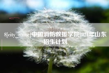 枝江中国消防救援学院2021年山东招生计划