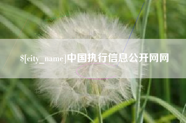枝江中国执行信息公开网网