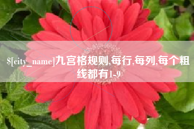 枝江九宫格规则,每行,每列,每个粗线都有1-9