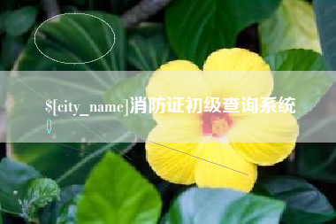枝江消防证初级查询系统