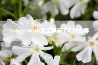 枝江中国金牌得了几枚金牌