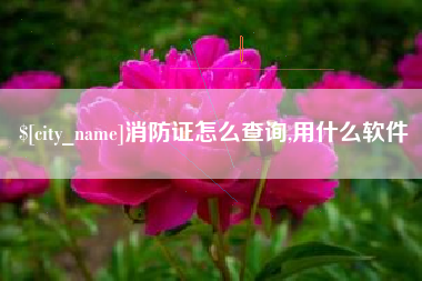 枝江消防证怎么查询,用什么软件