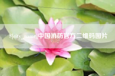 枝江中国消防官方二维码图片