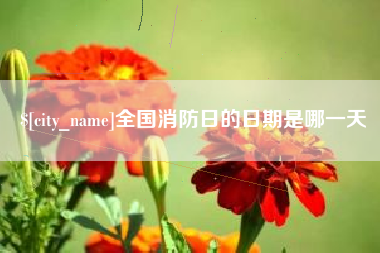 枝江全国消防日的日期是哪一天