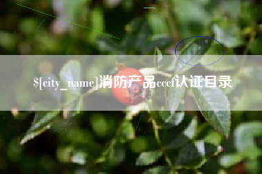 枝江消防产品cccf认证目录