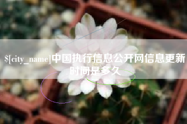 枝江中国执行信息公开网信息更新时间是多久
