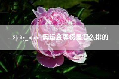 枝江奥运金牌榜是怎么排的