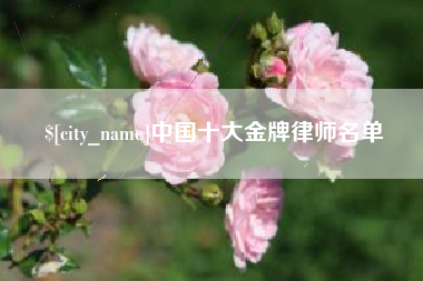 枝江中国十大金牌律师名单