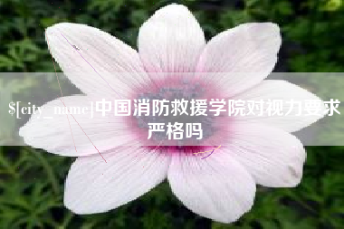 枝江中国消防救援学院对视力要求严格吗