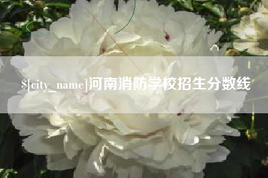 枝江河南消防学校招生分数线