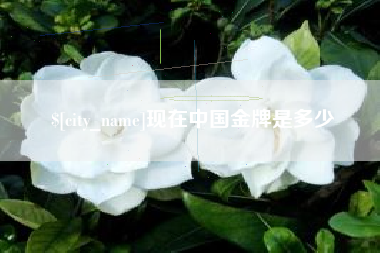 枝江现在中国金牌是多少
