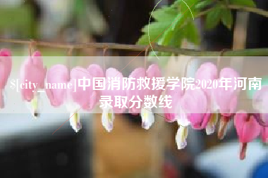 枝江中国消防救援学院2020年河南录取分数线