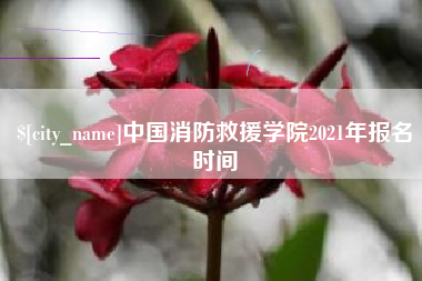 枝江中国消防救援学院2021年报名时间