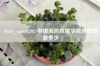 枝江2021中国消防救援学院分数线是多少