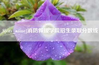 枝江消防救援学院招生录取分数线