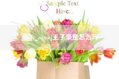 枝江王子豪是怎么写