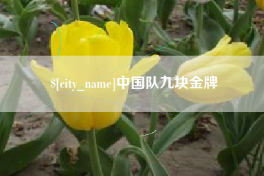 枝江中国队九块金牌