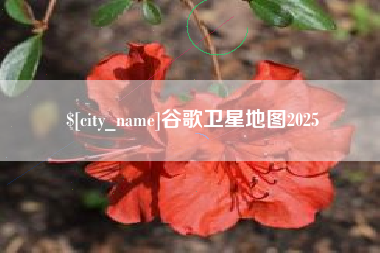 枝江谷歌卫星地图2025
