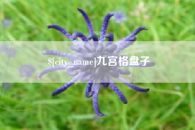 枝江九宫格盘子
