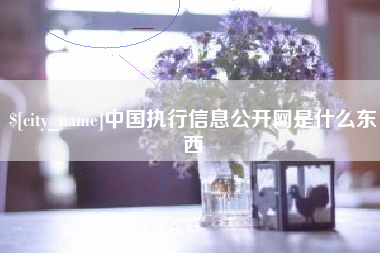 枝江中国执行信息公开网是什么东西
