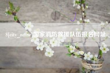 枝江国家消防救援队伍报名网址