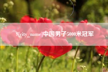 枝江中国男子5000米冠军