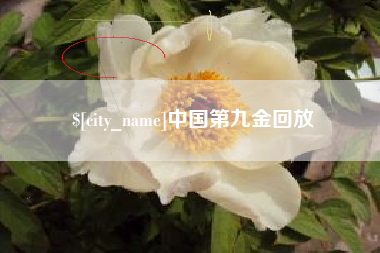 枝江中国第九金回放
