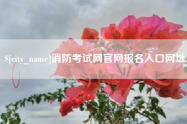 枝江消防考试网官网报名入口网址