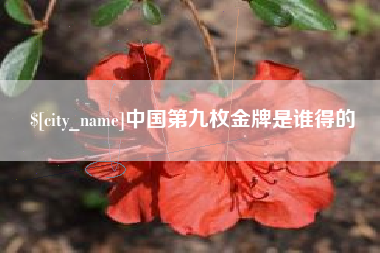 枝江中国第九枚金牌是谁得的
