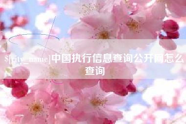 枝江中国执行信息查询公开网怎么查询
