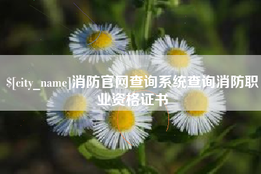 枝江消防官网查询系统查询消防职业资格证书