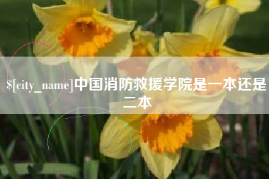 枝江中国消防救援学院是一本还是二本