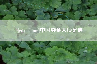 枝江中国夺金大项是谁