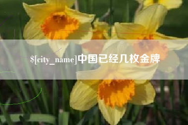 枝江中国已经几枚金牌