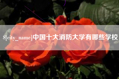 枝江中国十大消防大学有哪些学校