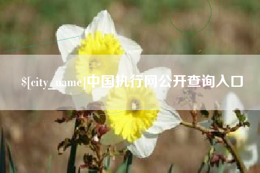 枝江中国执行网公开查询入口