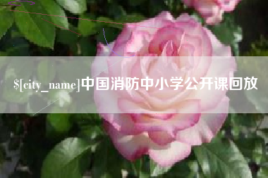枝江中国消防中小学公开课回放