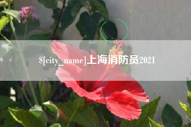 枝江上海消防员2021