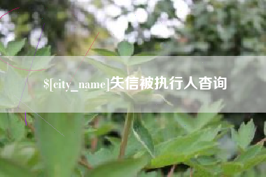 枝江失信被执行人杳询