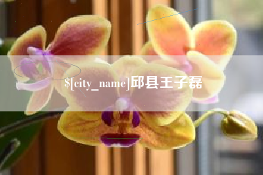 枝江邱县王子磊