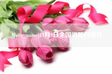 枝江11月9日全国消防日图片