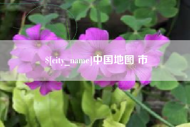 枝江中国地图 市