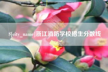 枝江浙江消防学校招生分数线